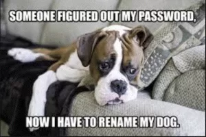 dog_password_meme