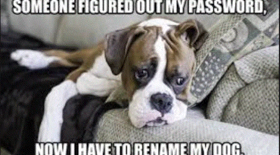 dog_password_meme